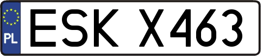 ESKX463