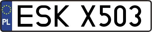ESKX503