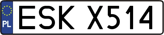 ESKX514