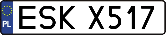 ESKX517