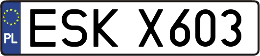 ESKX603