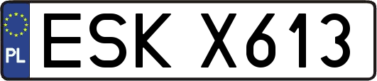 ESKX613