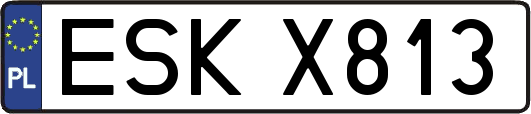 ESKX813