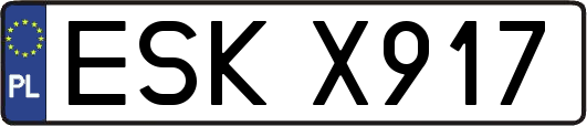 ESKX917