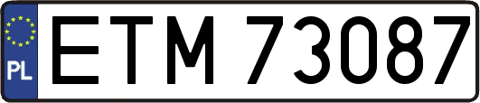 ETM73087