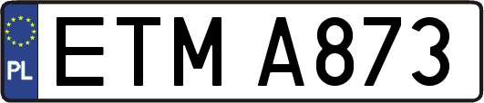 ETMA873