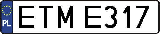 ETME317