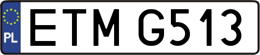 ETMG513