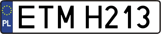 ETMH213