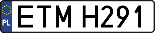 ETMH291