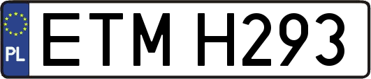ETMH293