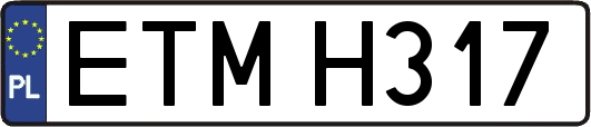 ETMH317