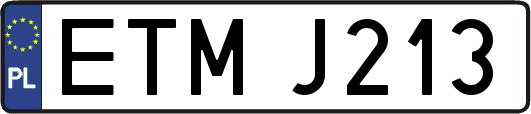 ETMJ213