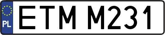 ETMM231