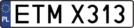 ETMX313