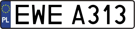 EWEA313