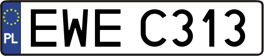 EWEC313