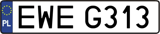 EWEG313