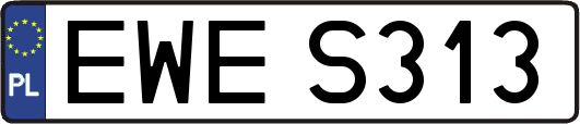 EWES313