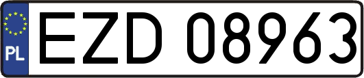 EZD08963