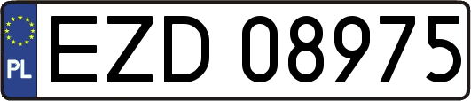 EZD08975