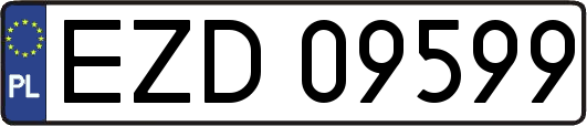 EZD09599