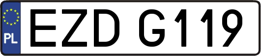 EZDG119
