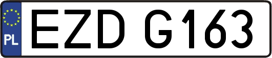 EZDG163