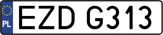 EZDG313