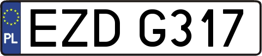 EZDG317