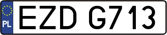 EZDG713