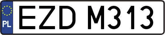 EZDM313