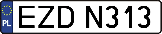 EZDN313