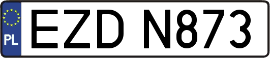 EZDN873