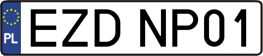 EZDNP01