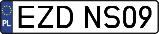 EZDNS09