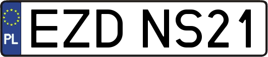 EZDNS21