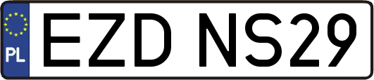 EZDNS29