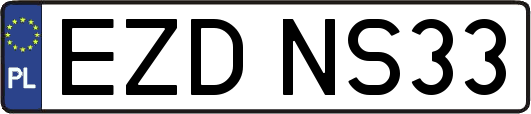 EZDNS33