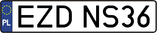 EZDNS36