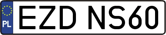 EZDNS60