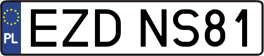EZDNS81
