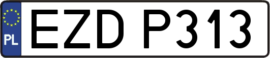EZDP313