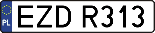 EZDR313