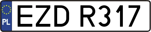 EZDR317