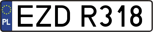EZDR318