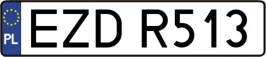 EZDR513