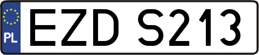 EZDS213