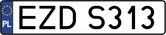 EZDS313