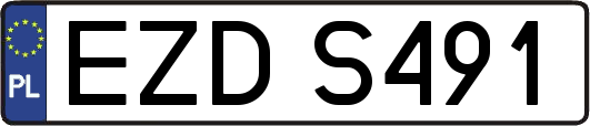 EZDS491